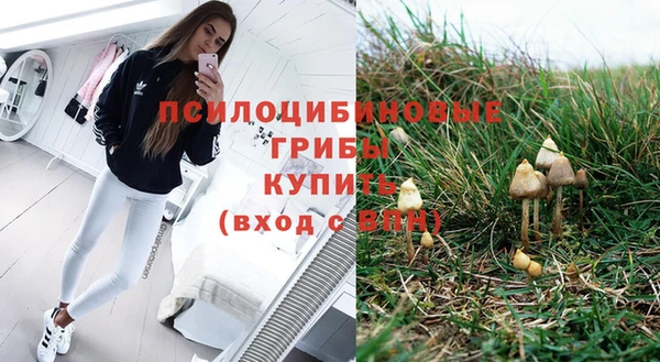 ALPHA PVP Алзамай