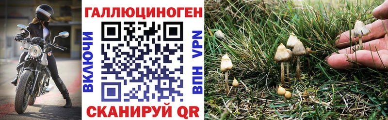 маркетплейс формула  Магнитогорск  Галлюциногенные грибы ЛСД 