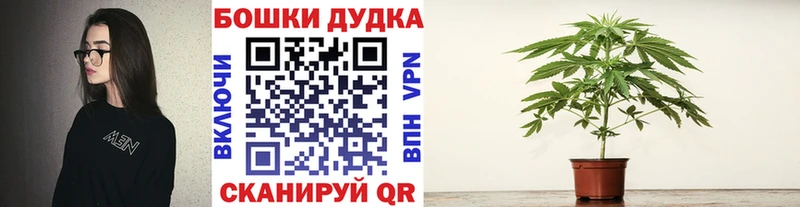 Марихуана сатива Магнитогорск